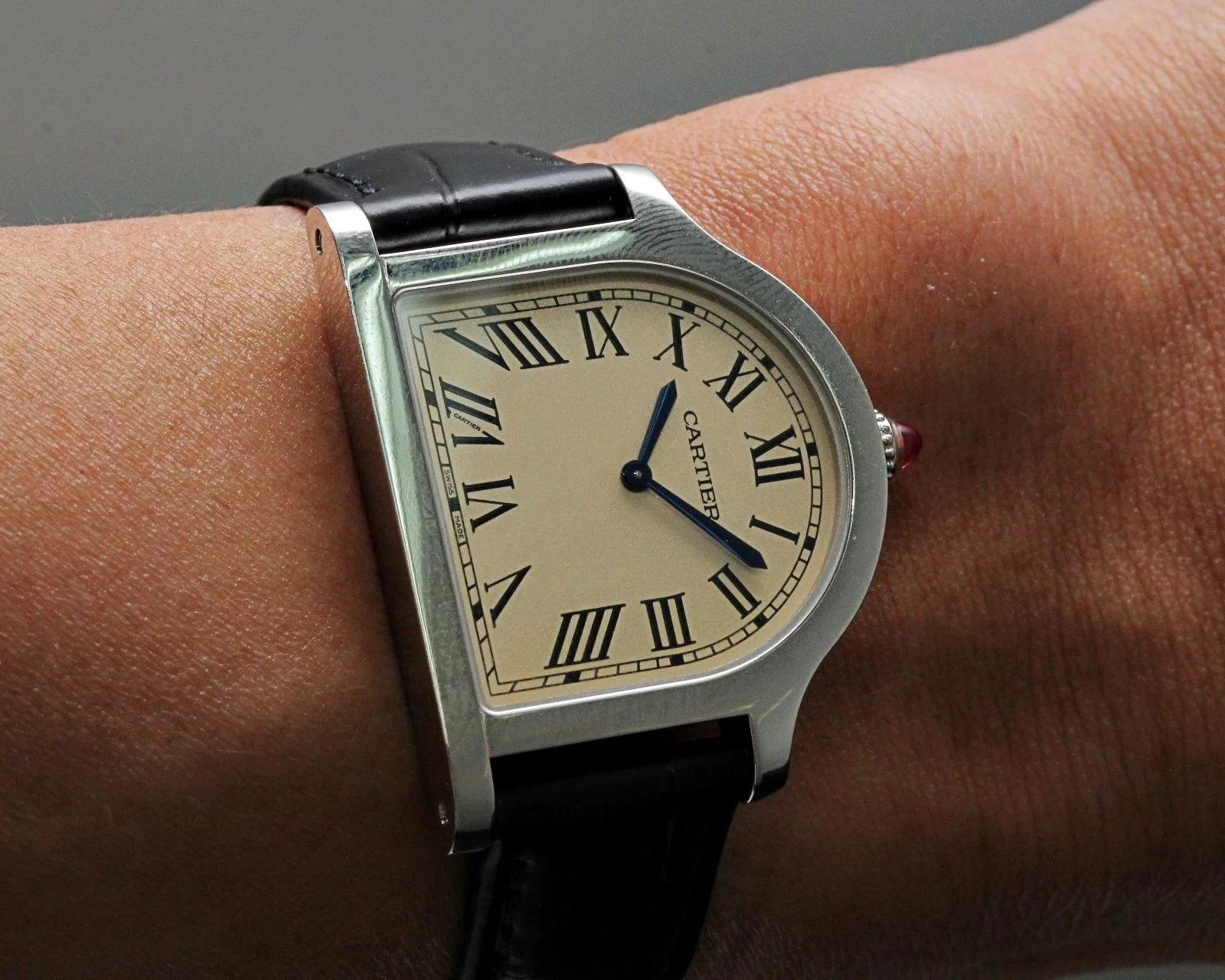 Cloche de Cartier Platinum WGCC0004